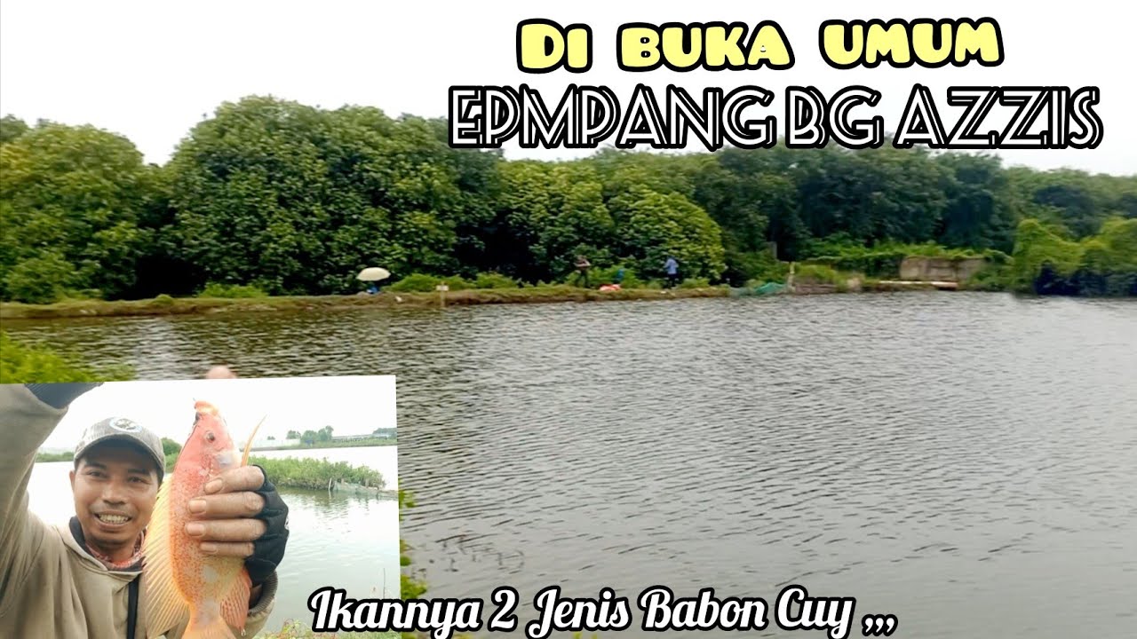 Info Spot Terbaru!!! Mancing Mujair Babon Dan Bandeng Rusun Nagrak Marunda