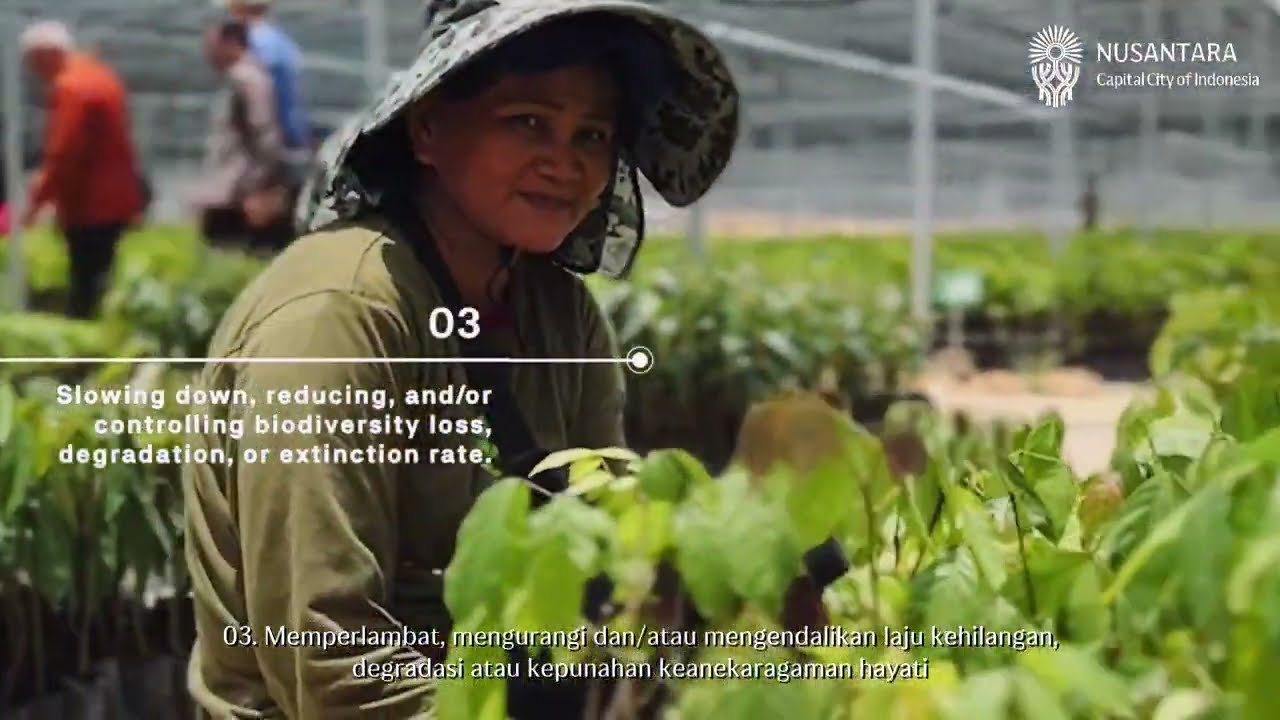 Ibu Kota Nusantara: The Biodiversity Masterplan for a Sustainable Future