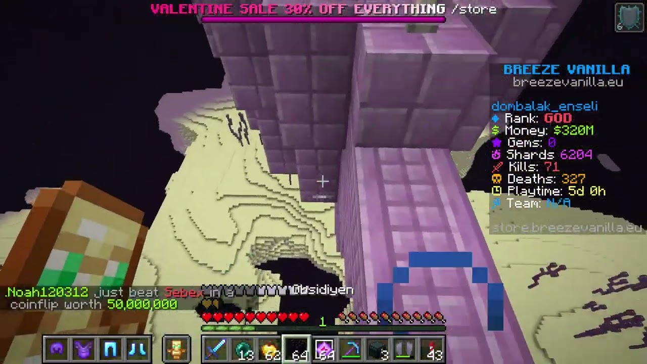 Elytra Hunting At breezevanilla.eu