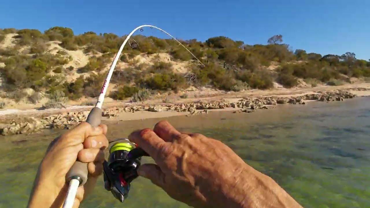 flathead fishing coffin bay national park south australia