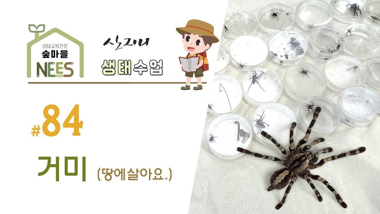 [산지니생태수업]  #84 - 거미수업