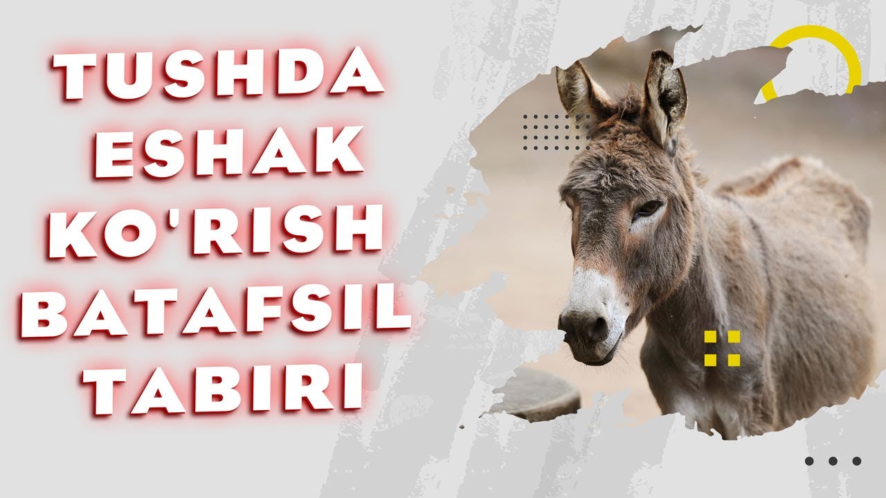 Tushda Eshak Ko'rish Batafsil Tabiri
