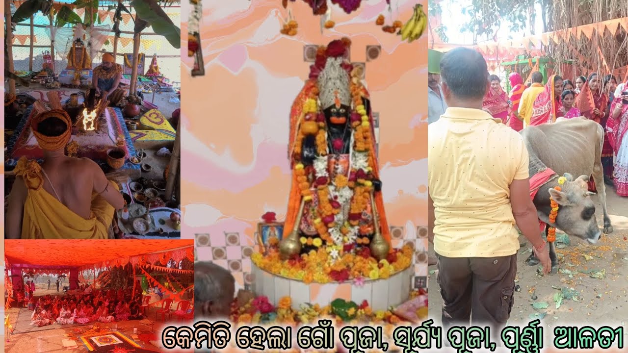 କେମିତି ହେଲା ଗୋଁ ପୂଜା, ସୂର୍ଯ୍ୟପୂଜା,ପୂର୍ଣ୍ଣା ଆଳତୀ🙏#odiavolg #viral #love #support @YouTube #subscribe 