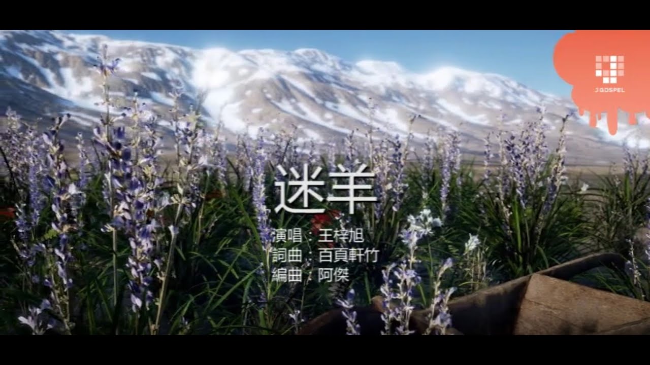 王梓旭   迷羊