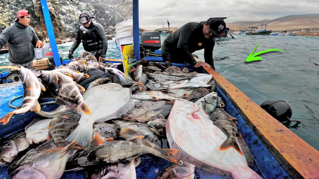 Este HOMBRE muy AFORTUNADO! Pescó MUCHOS PECES entre las Profundidades del MAR