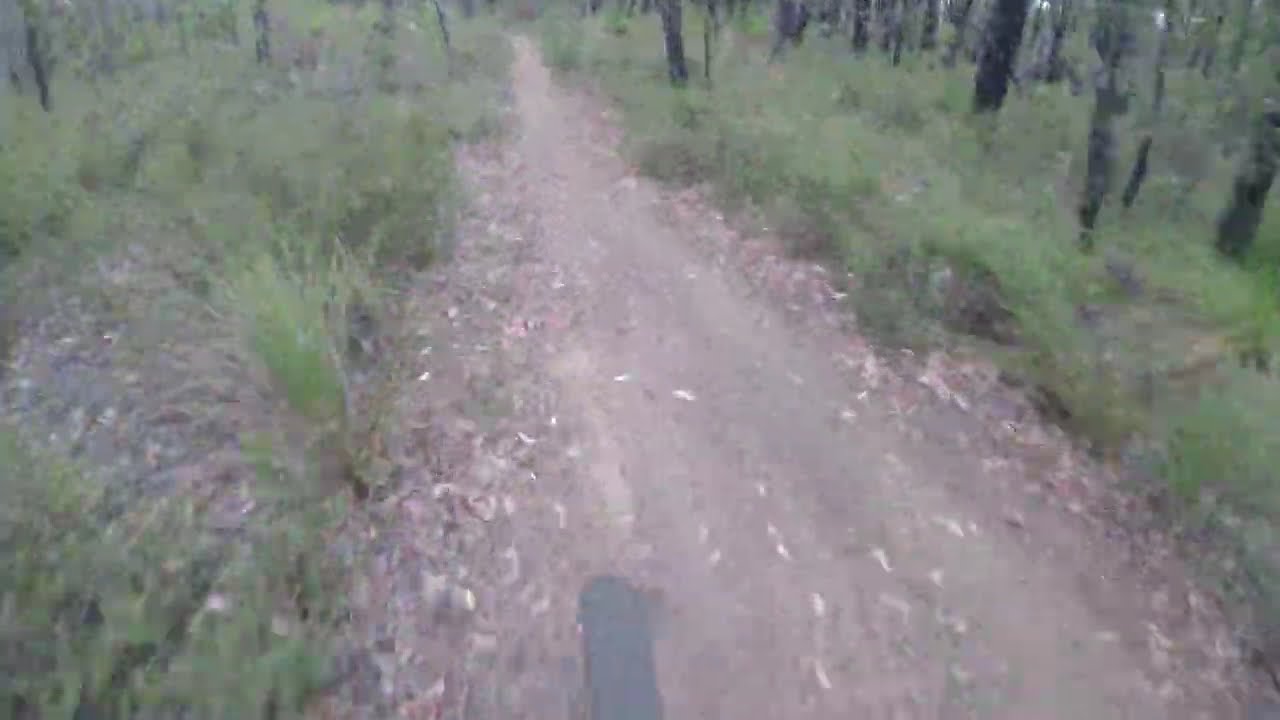 Unknown Trail Back to the Car Park!