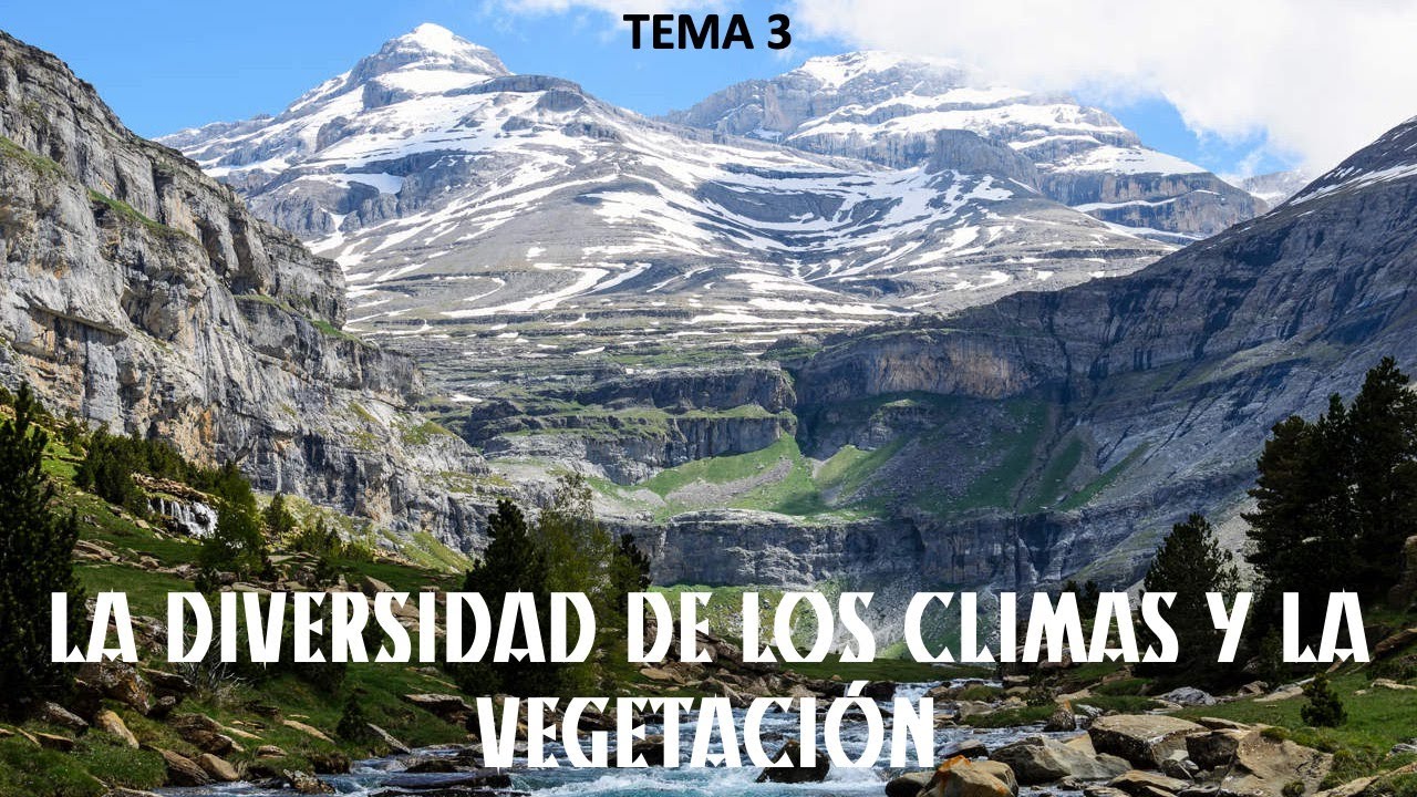 La vegetación de España: Los factores de la vegetación