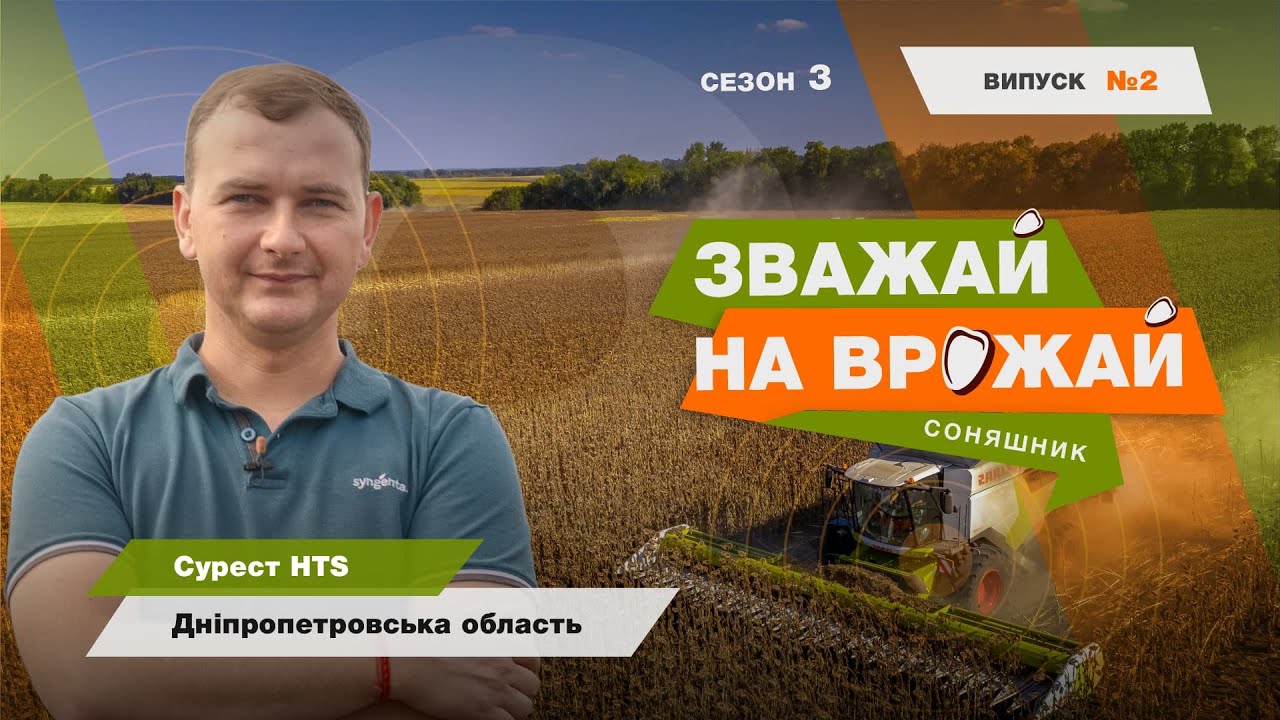 #Зважай_на_врожай. Збір урожаю гібрида соняшнику Сурест. Дніпропетровська обл.🌻