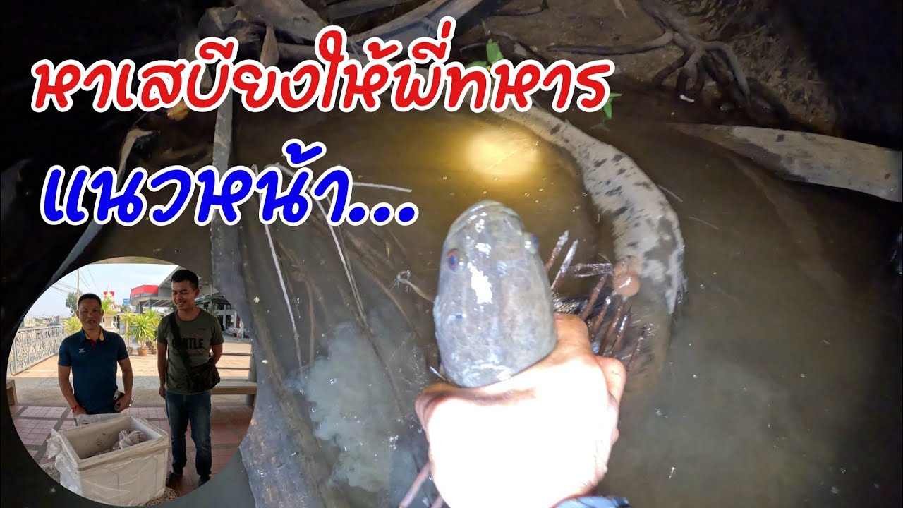 หาปลาเป็นเสบียงให้ทหารแนวหน้า ดีใจหลาย ขอแค่พี่เอ่ยปากผมพร้อมจัดให้ พายเรือแทงปลาครึ่งคืนเกือบ10โล