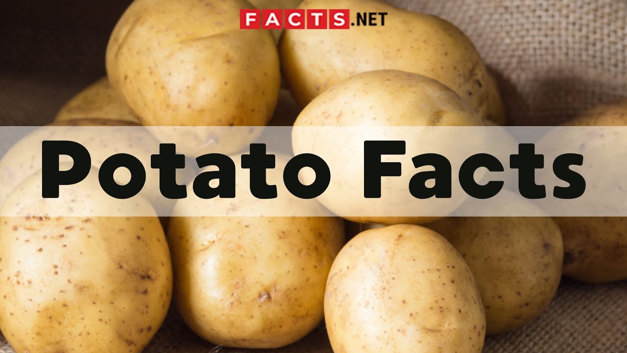 Удивительные факты о картофеле: важный продукт питания