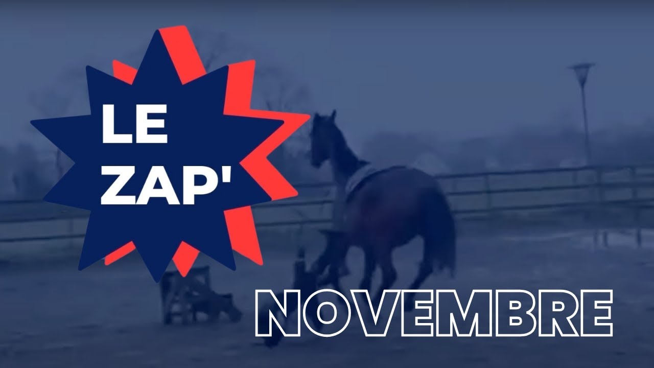Le zapping de novembre 🤪