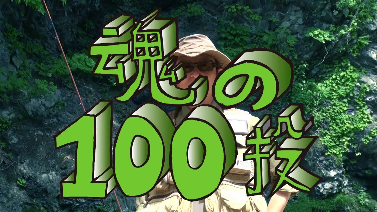 100投で尺イワナ5尾をサイトフィッシング！秋田県・渓流【フライフィッシング】渋谷直人 編