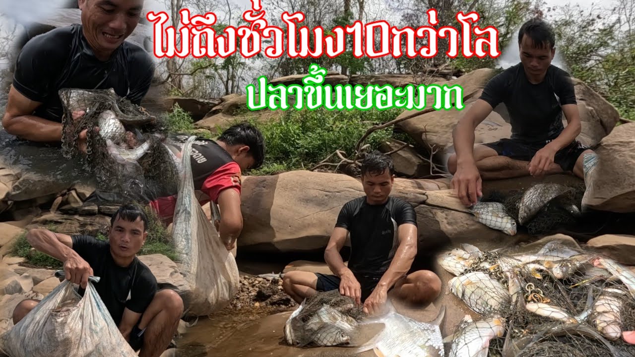 ຫາປາຂຶ້ນຄັ້ງແລກຂອງປີ//หาปลาขึ้นครั้งแรกของปี ไม่ถึงชั่วโมงแบกไม่ไหว | 15 พฤษภาคม ค.ศ. 2025