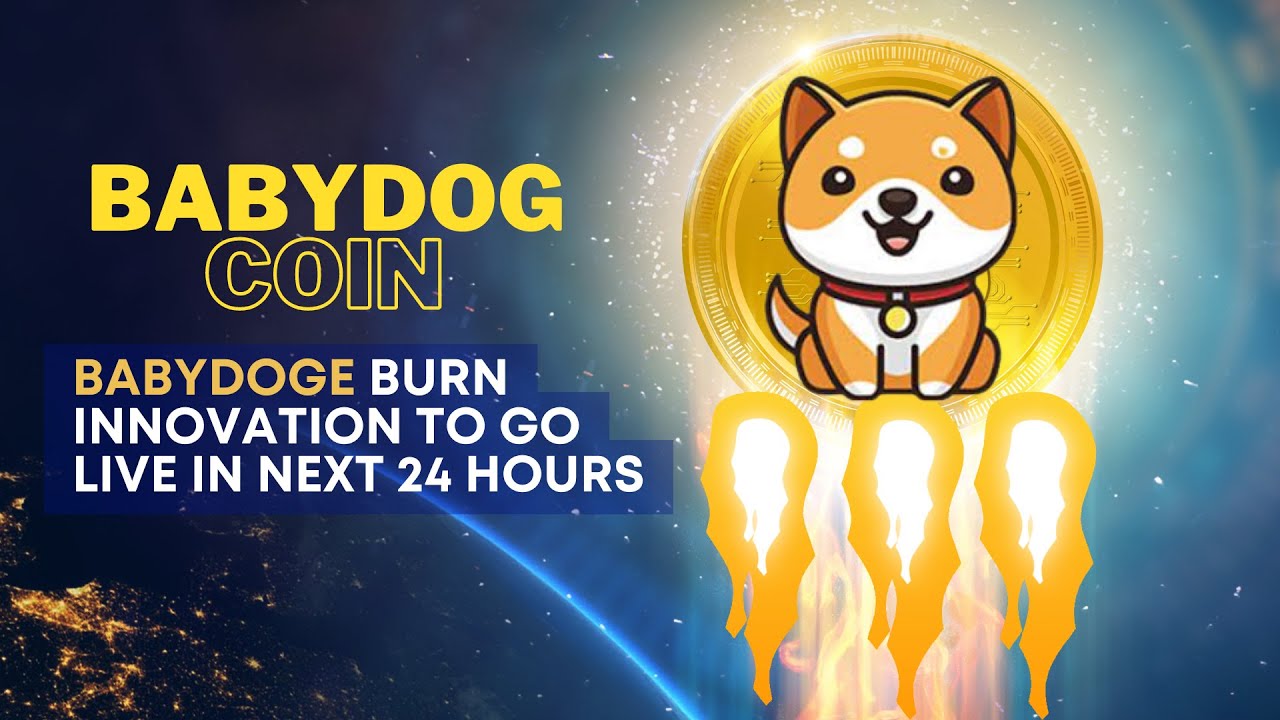 Baby Doge Coin Burn Innovation to Go Live in Next 24 Hours