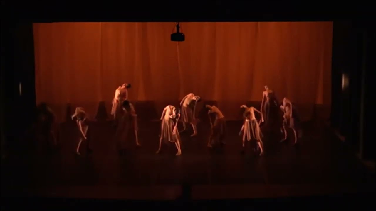 STUDIO DE DANCA ADRIANA ALCANTARA