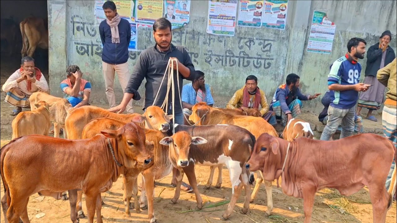 @আজ ৬ মার্চ