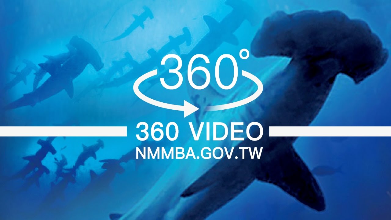 海生館VR360度影片：世界水域館-鯊魚特展
