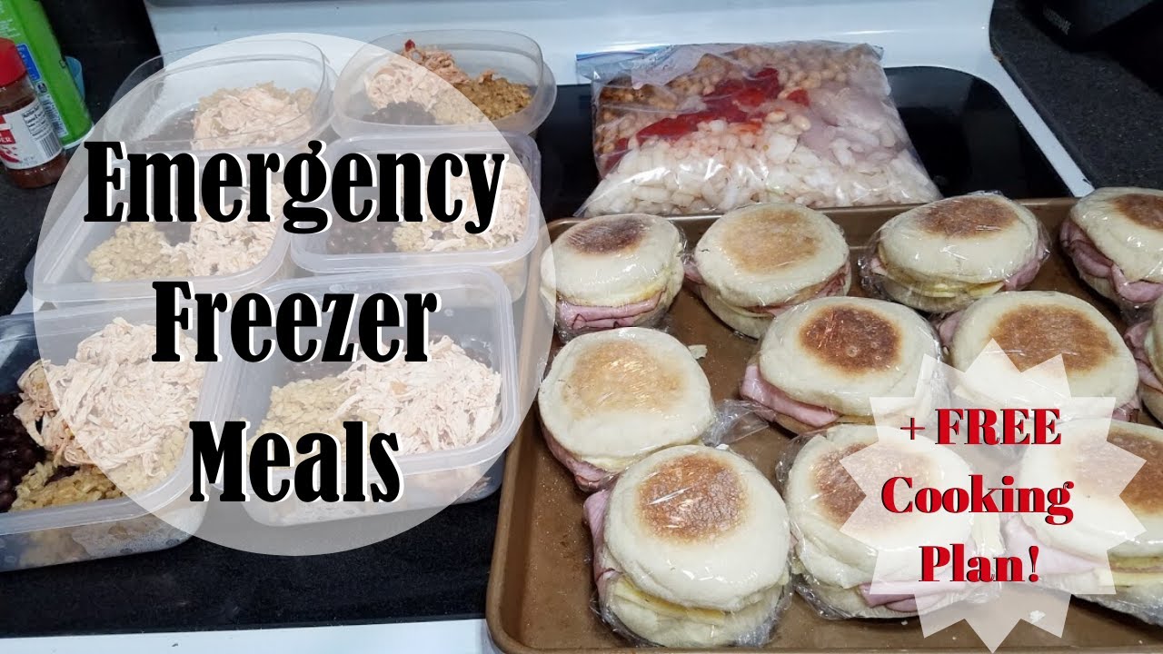 EMERGENCY FREEZER MEALS || FOR QUARANTINE, SICKNESS, JOB LOSS