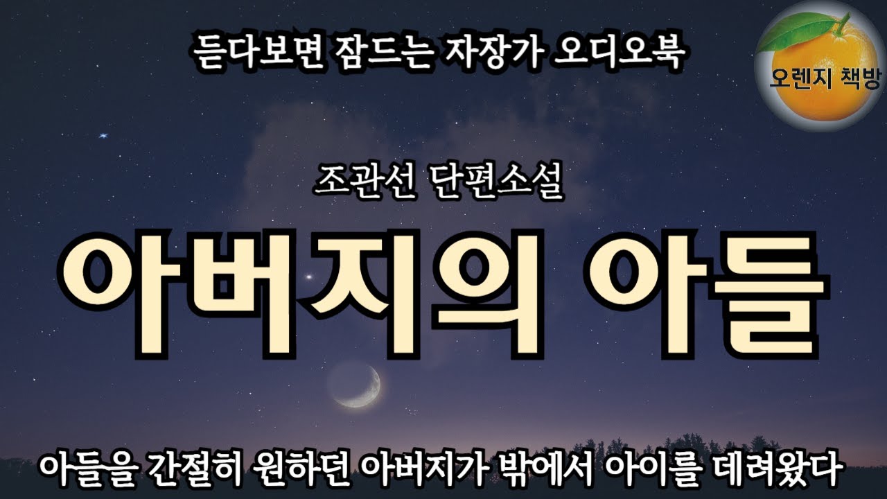 아들을  간절히 원했던 아버지가 데려온 사내아이를 어머니가 그토록 사랑하다니... / 아버지의 아들/ 조관선 단편소설
