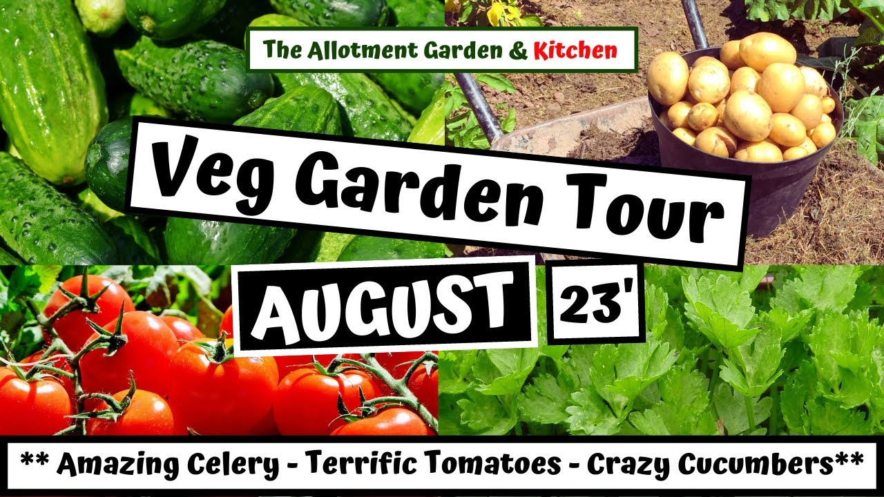 August Vegetable Garden Tour and Tips for Growing More Veg in Your Garden This Year! #126