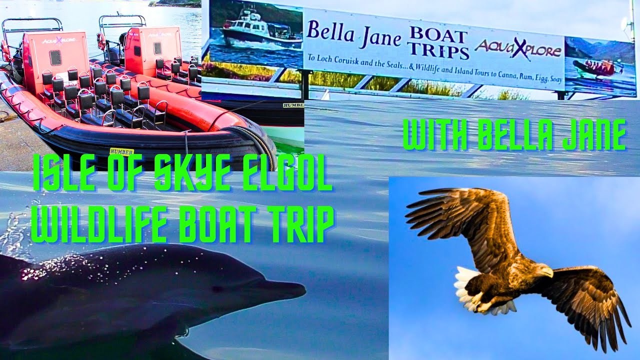 My Amazing Isle Of Skye Wildlife Boat Trip Adventure!!!!!