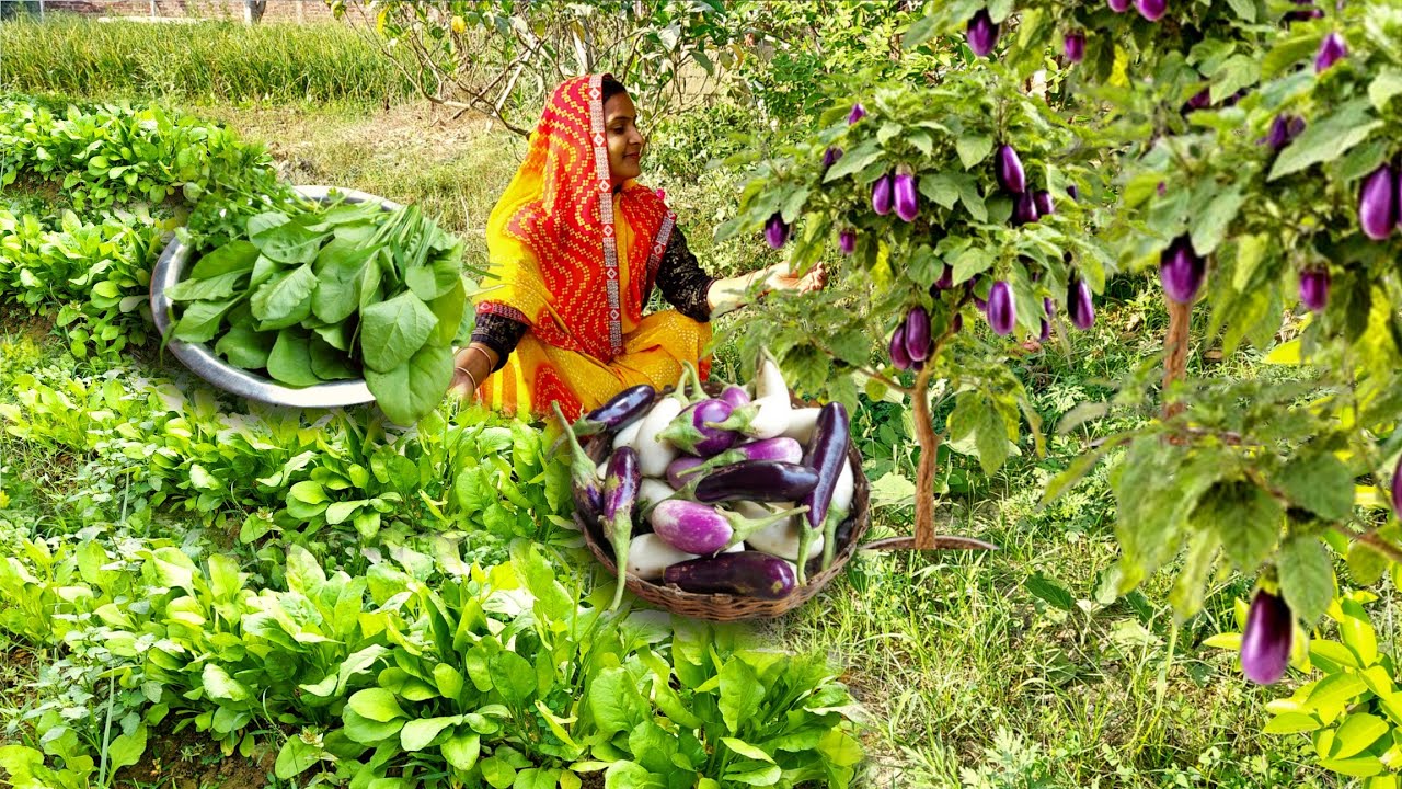 🍆बैगन 🥔आलू 🌱पालक की चूल्हे पर बनी लाजवाब देसी सब्जी आपको 2 की जगह 4 रोटियां खाने पर मजबूर कर देगी