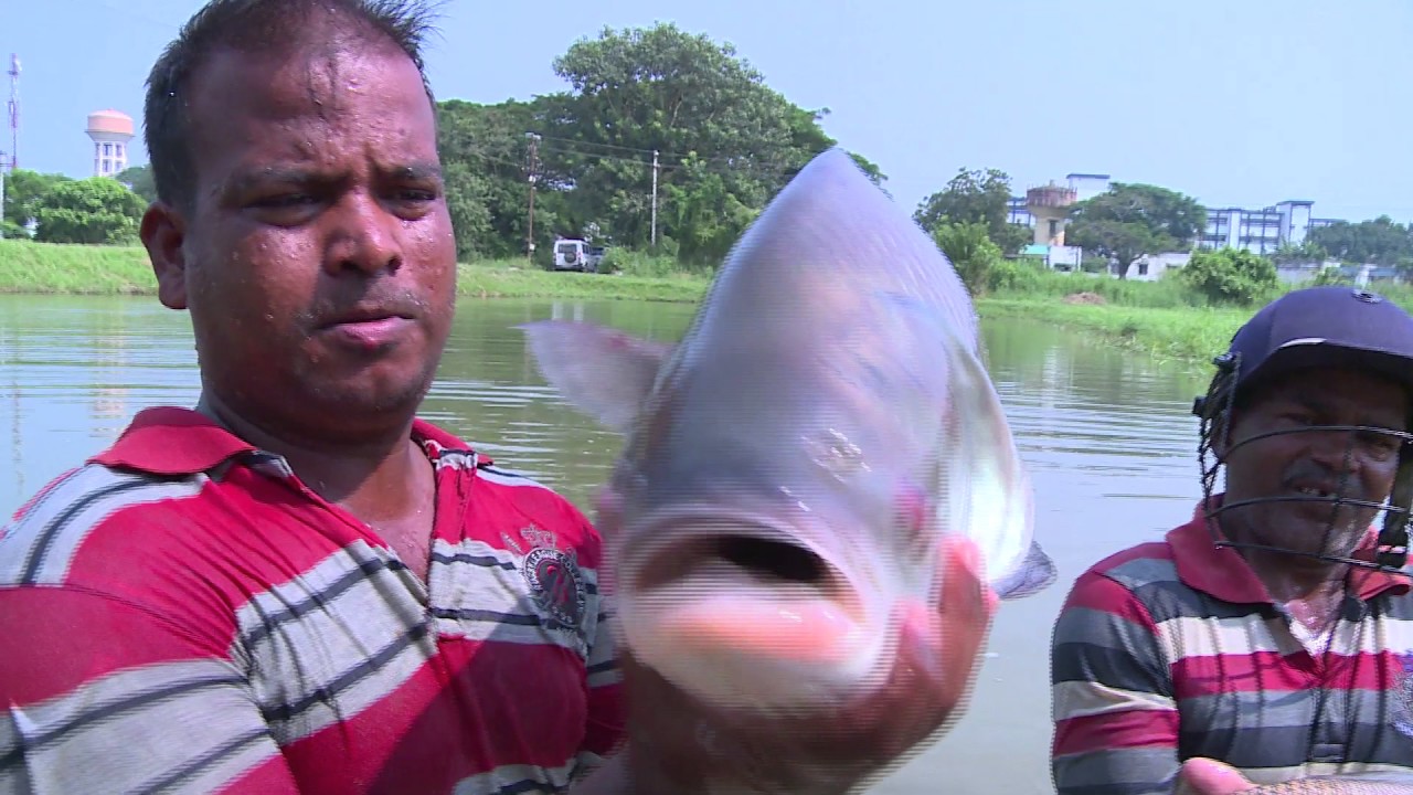 ICAR CIFA | Fisheries for Small Farmers
