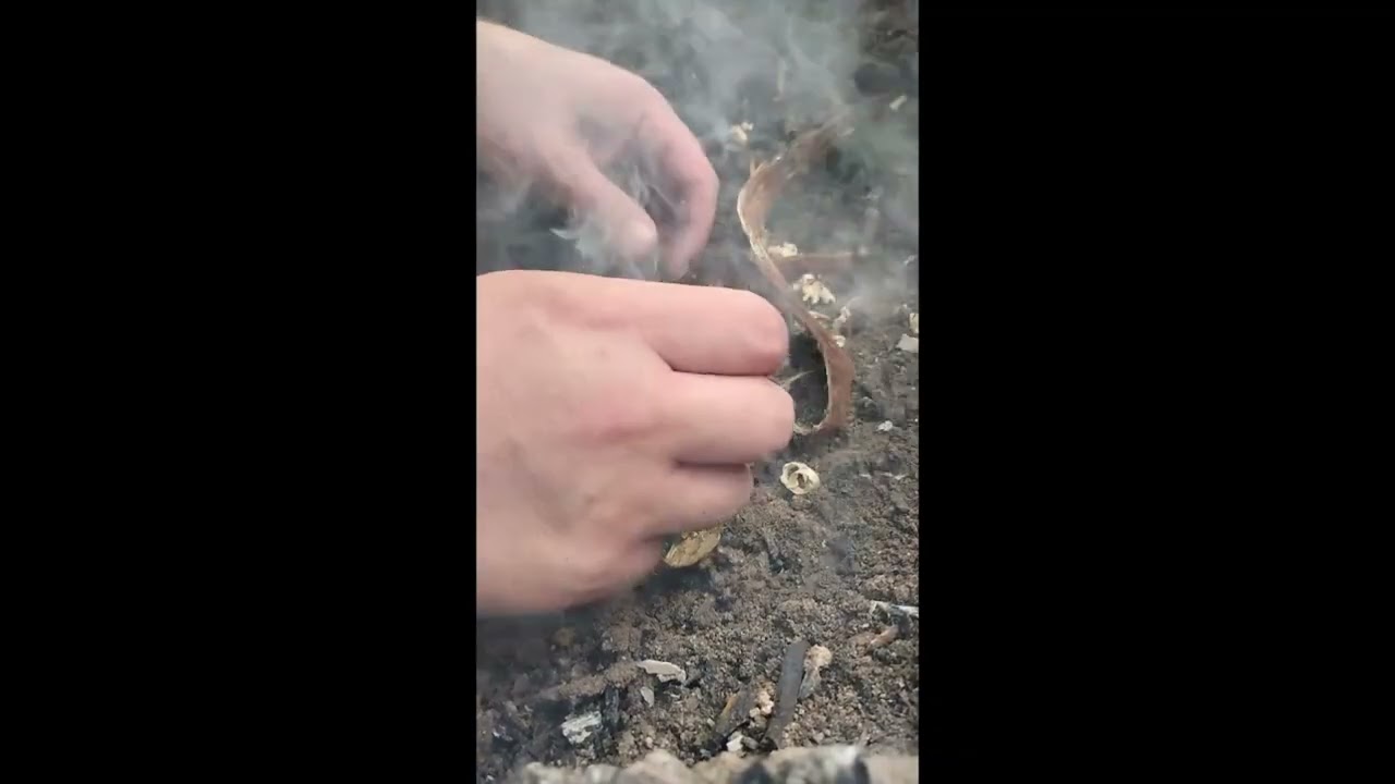 4 Days in Dolly Sods: Full Loop Through the Wilderness