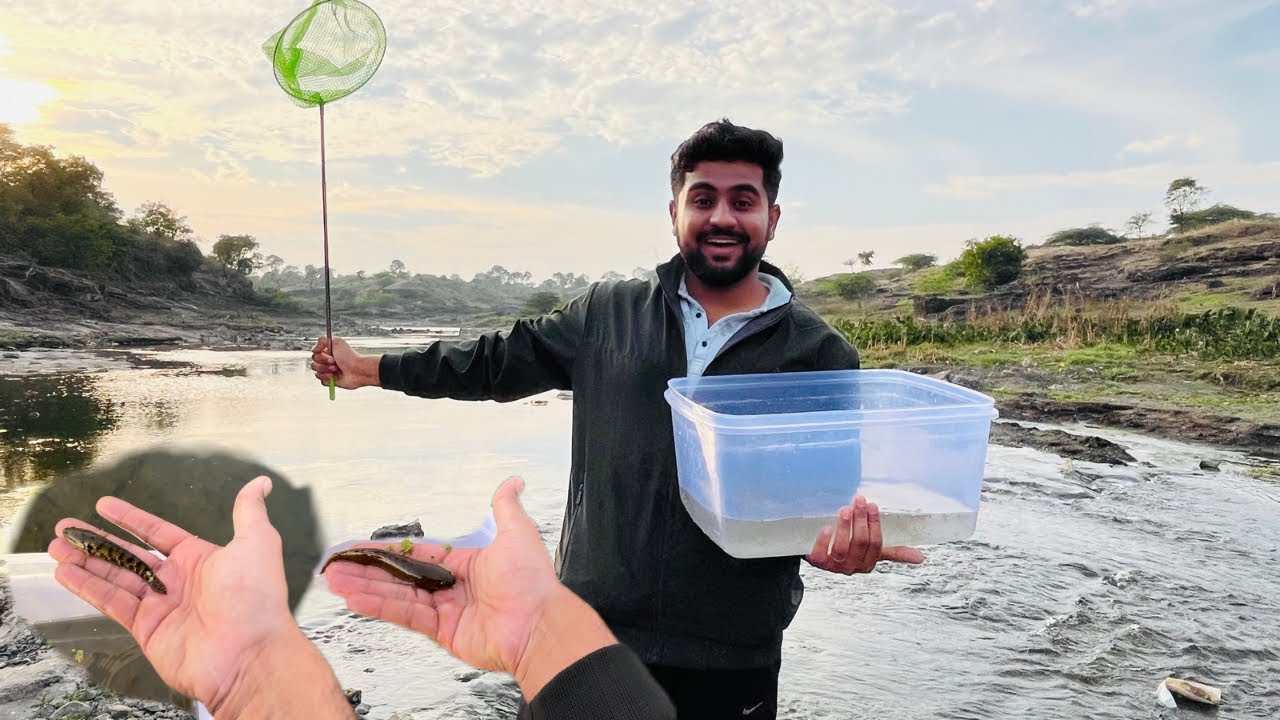 Aaj Hum River Fish Pakdne River Me Gaye 🎣, Bahot Sare Snake Head Fish Pakde