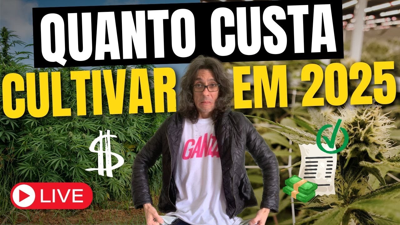DESCUBRA: Quanto Custa Montar um Grow em 2026? APRENDA E ECONOMIZE!