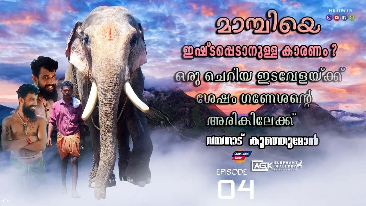 മാമ്പിയെ ഇഷ്ടപ്പെടാനുള്ള കാരണം വയനാട് കുഞ്ഞുമോൻ l Epiosde 04