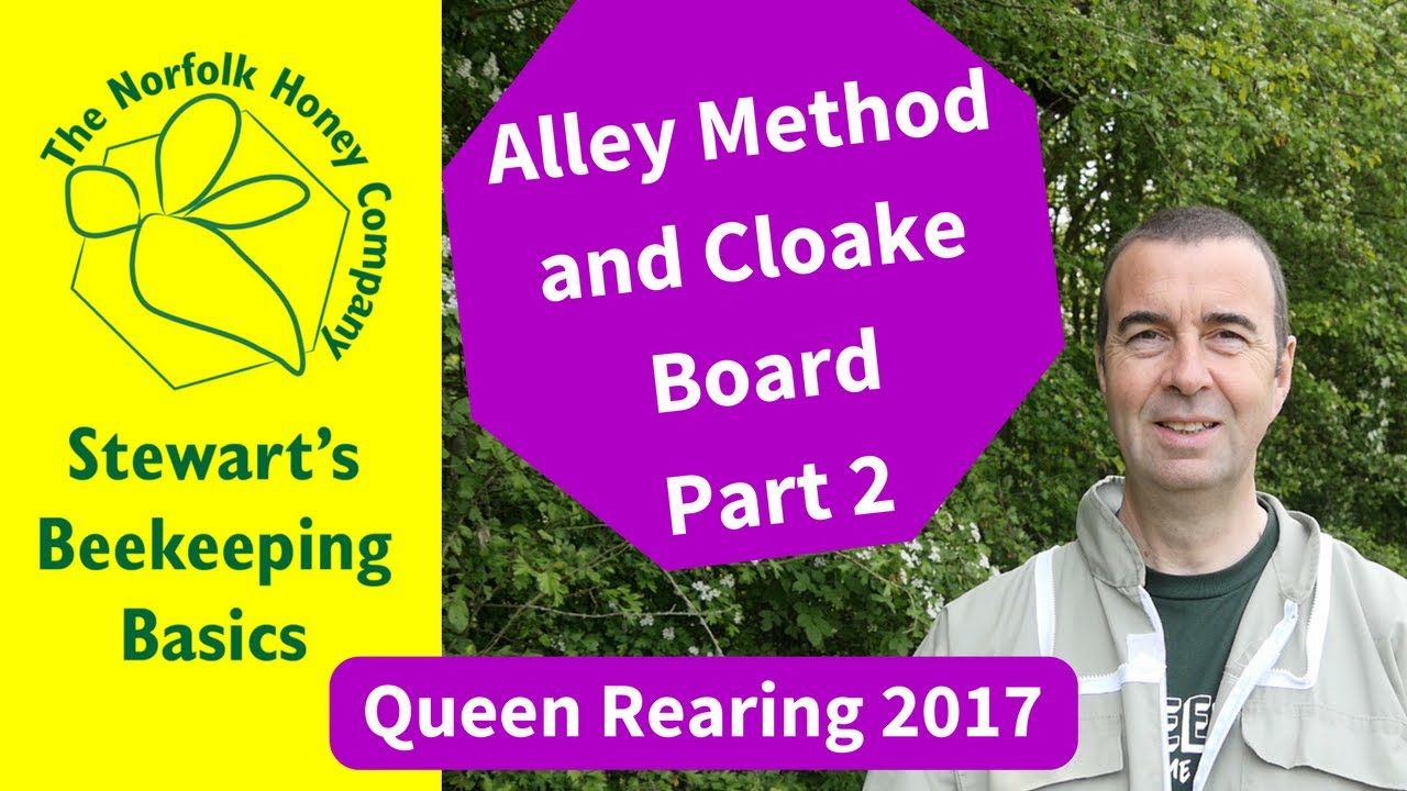 Queen Rearing Using the Alley Method Part 2
