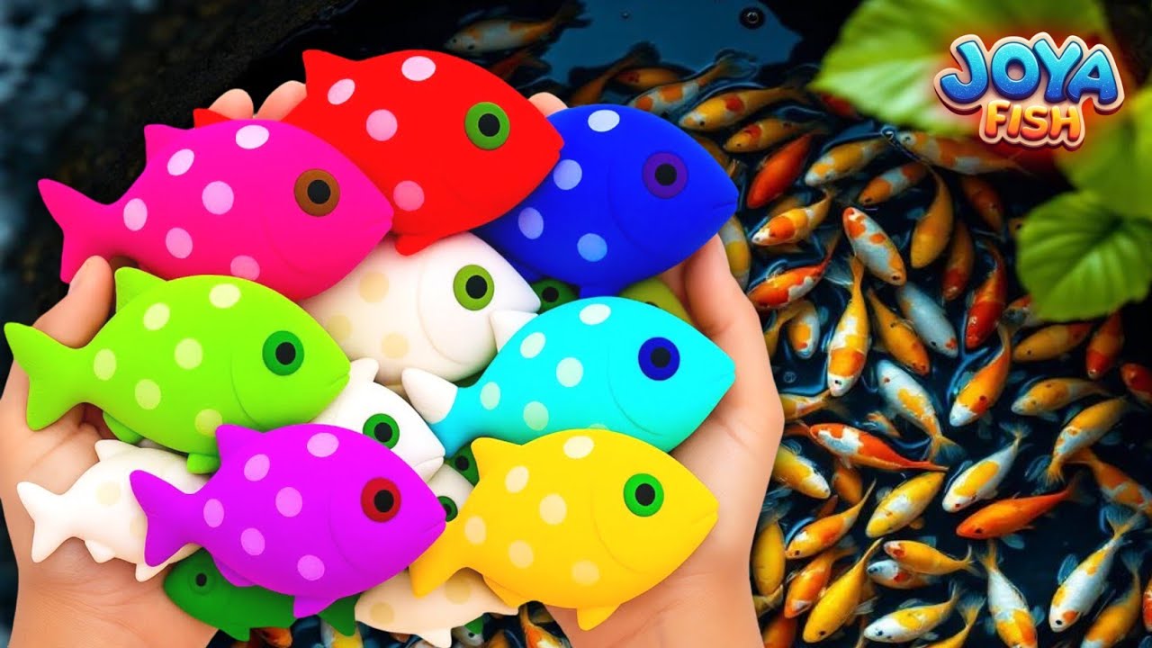 Catch Colorful Tropical Fish in Giant Colorful Eggs Glow Fish,Koi,Manfish,Gold Fish,Koi,Tilapia