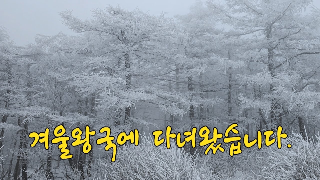 겨울왕국 태기산  | 가성비 최고의 눈꽃 산행  | Korean landscape