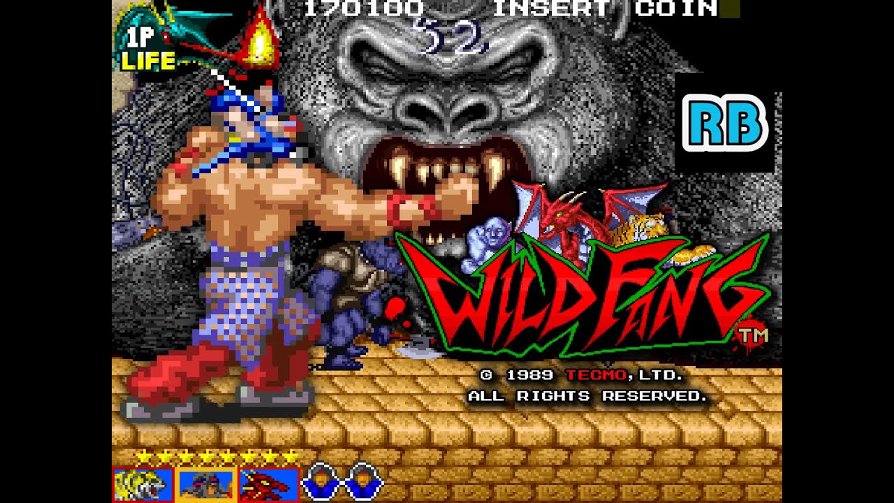 1989 [60fps] Wild Fang VeryHard Nomiss ALL