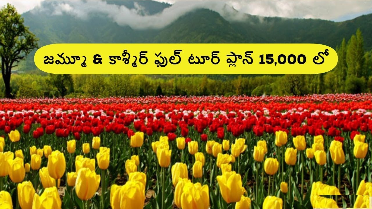 Jammu and Kashmir full tour plan in 15 thousand rupees