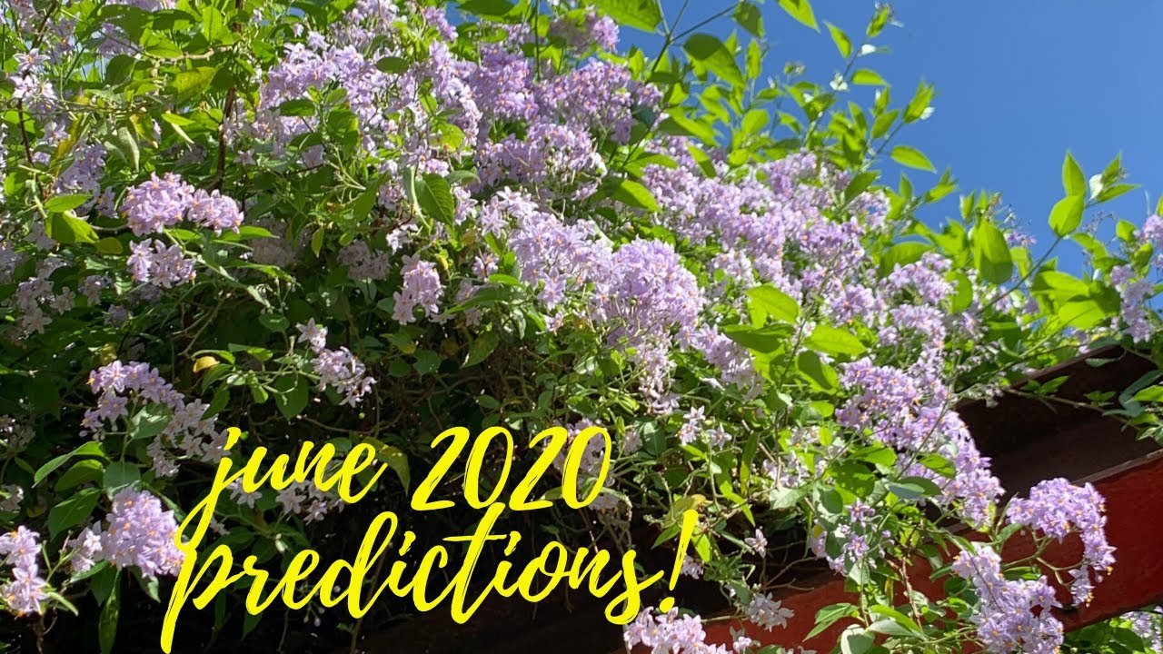 JUNE 2020 TAROT PREDICTIONS! 🌼