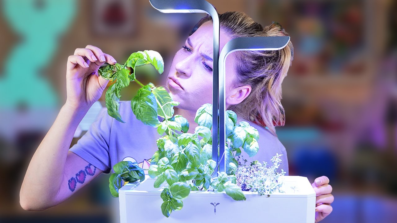 CRESCONO SENZA FARE NULLA! 🌱 Serra smart recensione