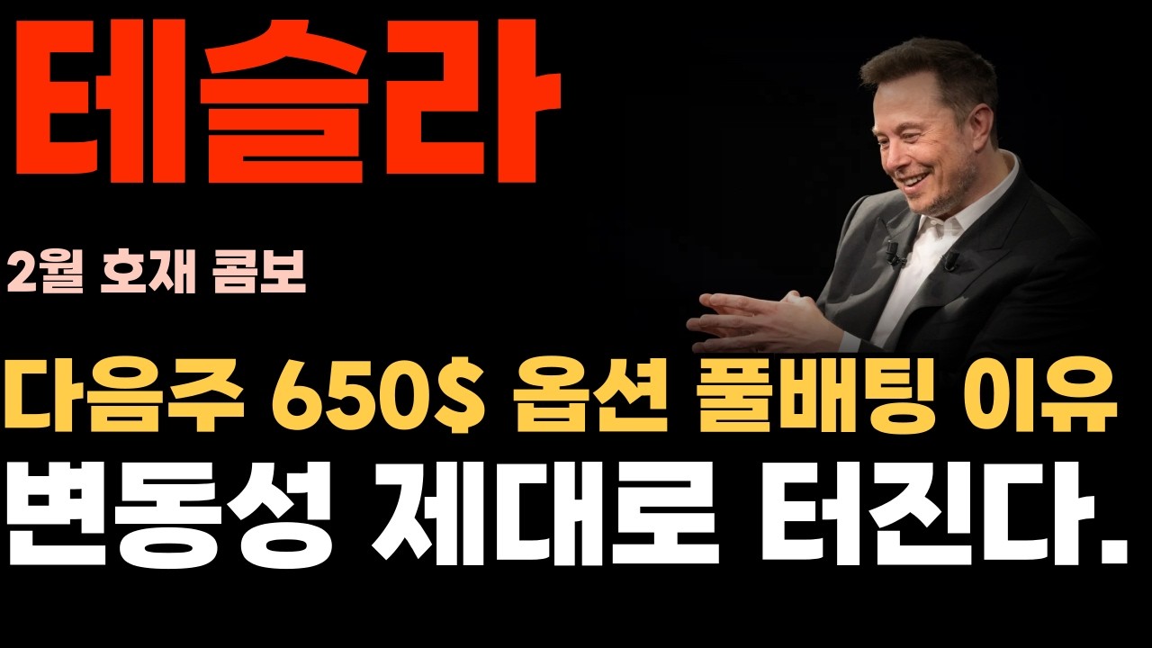 [테슬라 주가분석] 다음주 650$ 옵션 풀베팅 이유! 변동성 제대로 터진다.