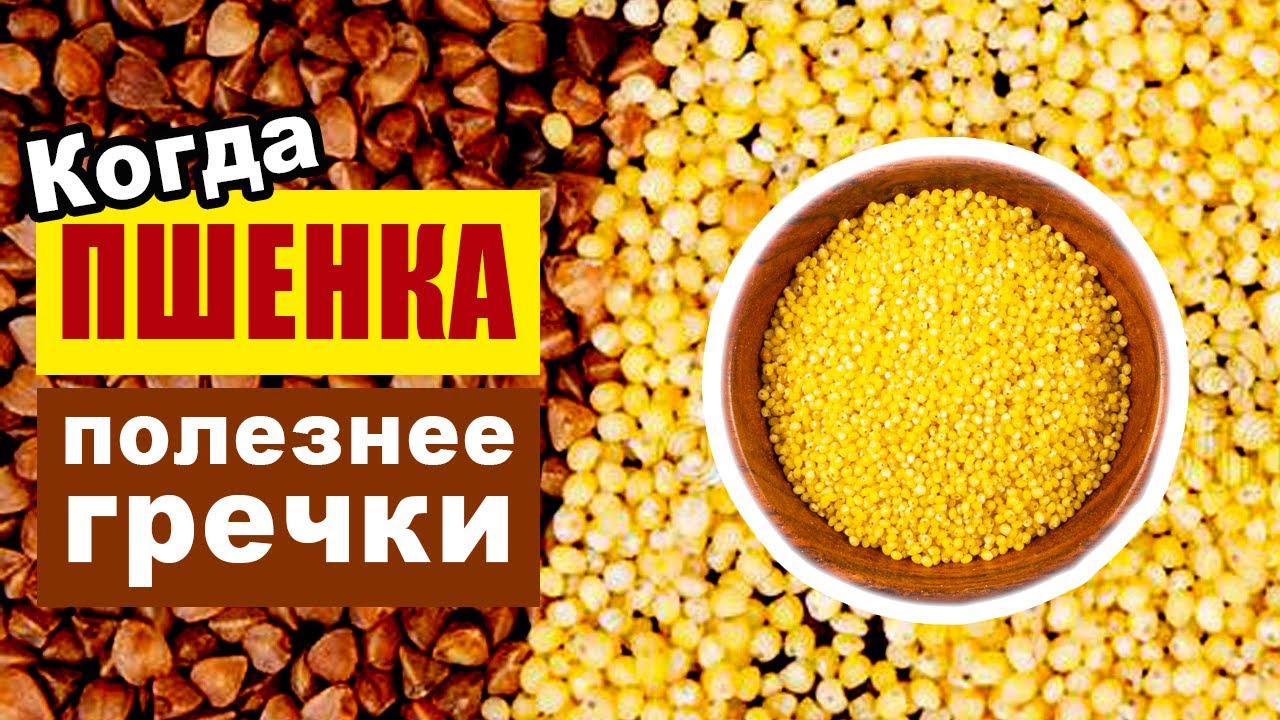 Пшено польза и вред