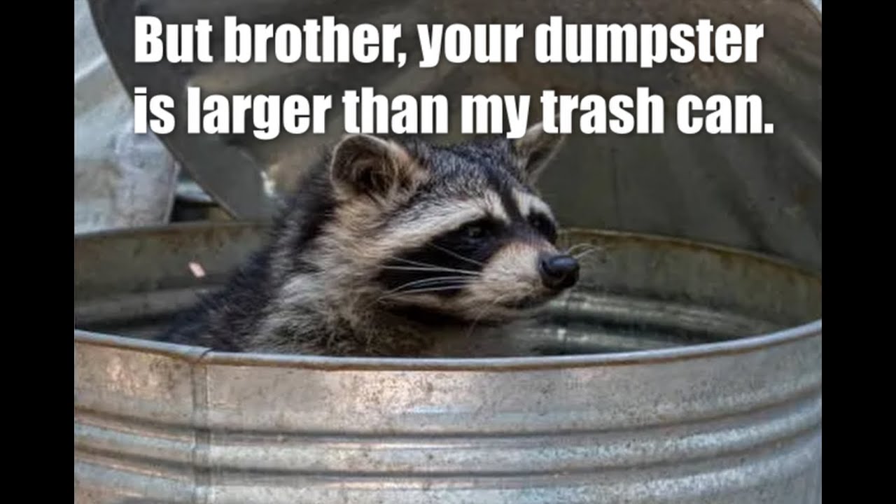 Brother, may I look in your dumpster?