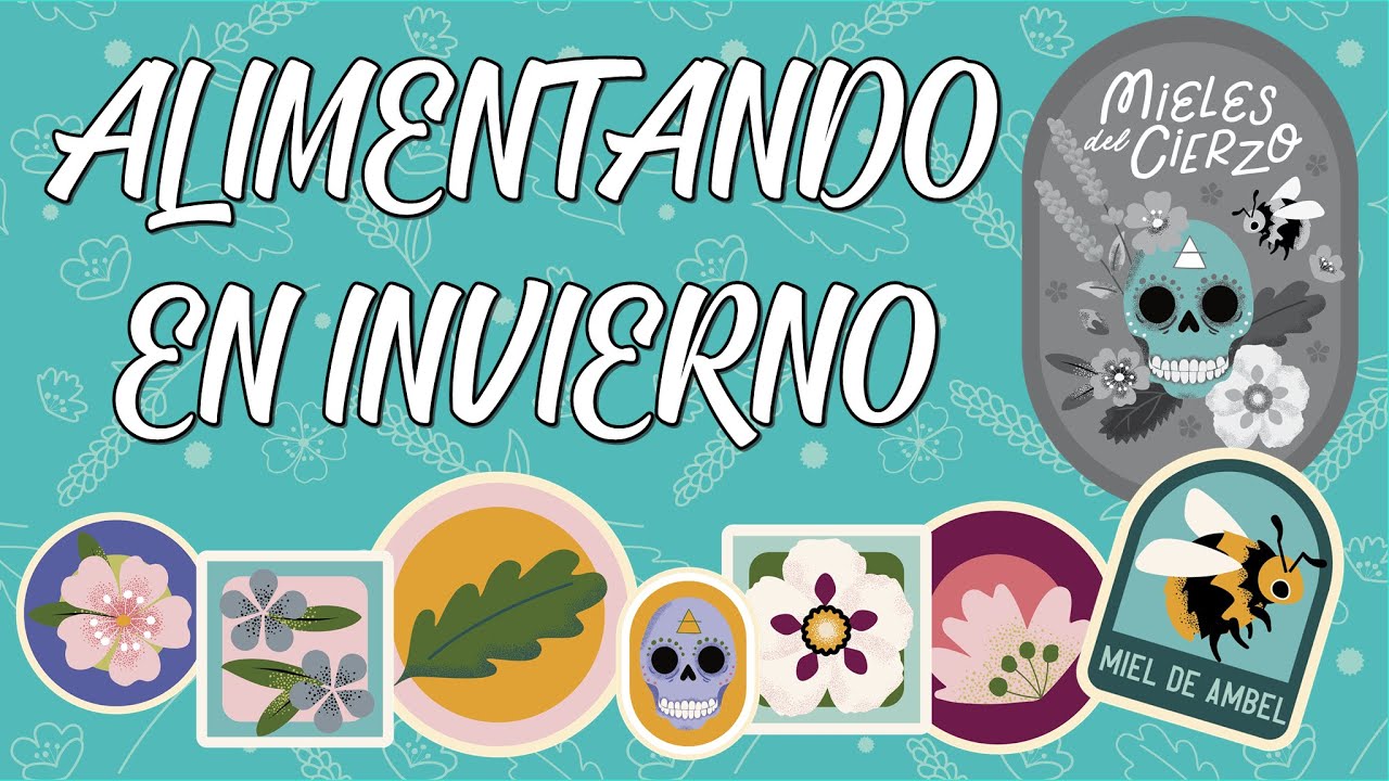 ALIMENTACIÓN DE INVIERNO