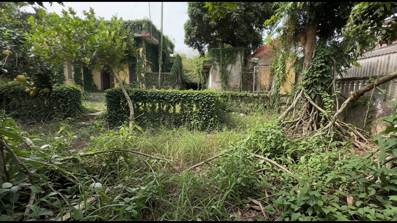 Lost Their Home, a Couple Bought a $25,000 House Swallowed by Grass