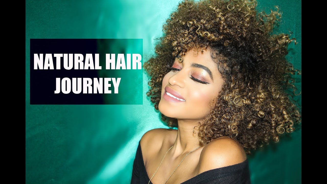 My Natural Hair Journey (19 Months/Inspiration)