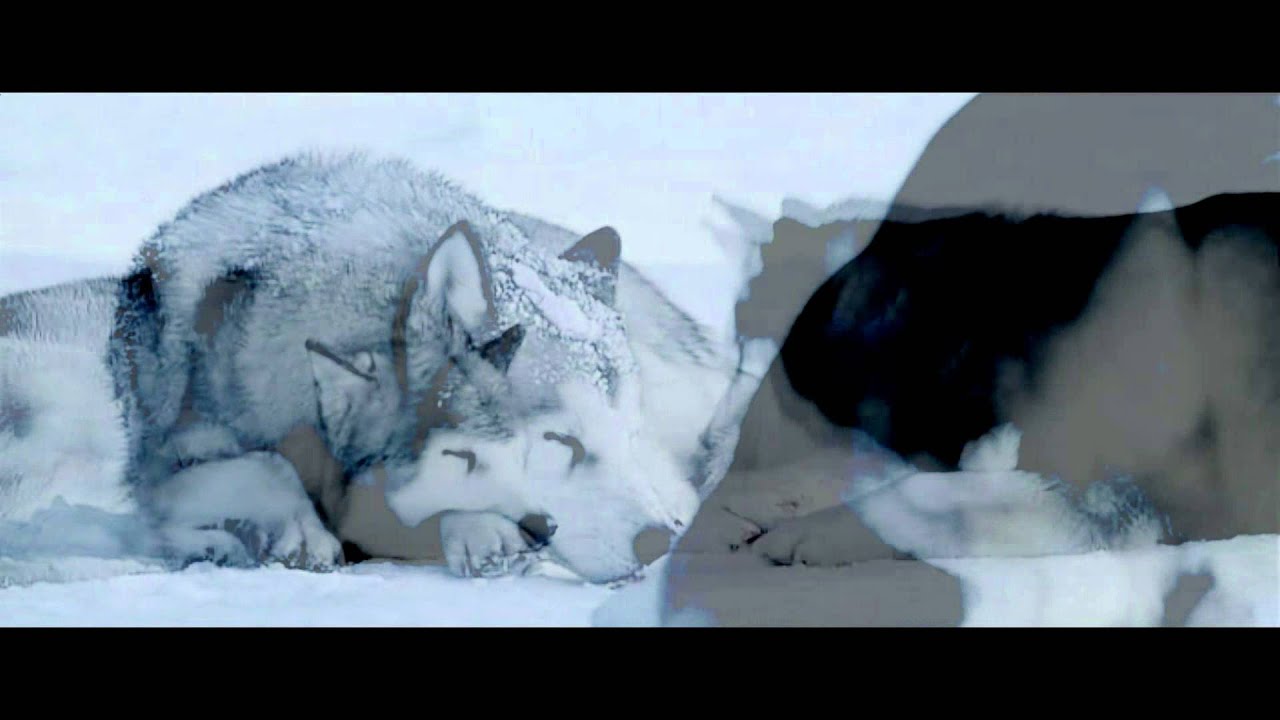 losing your memory | 8 below