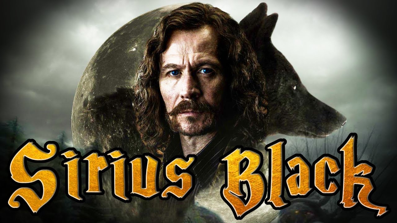 Sirius Black - celý příběh zvěromága, psance a tragického hrdiny | Harry Potter