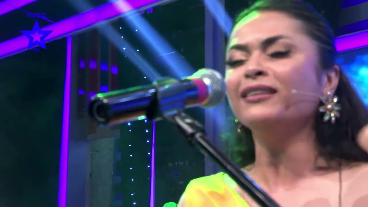 SONGÜL GÜNER - BİTMEZ TÜKENMEZ GECELER
