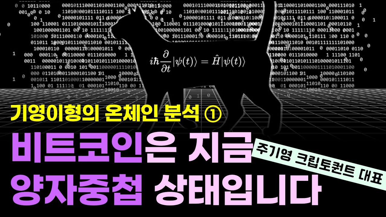 온체인으로 본 비트코인, 지금은 양자중첩 상태입니다/슈뢰딩거의 비트코인/ 기영이형의 온체인 분석 (1부) ft.주기영 크립토퀀트 대표