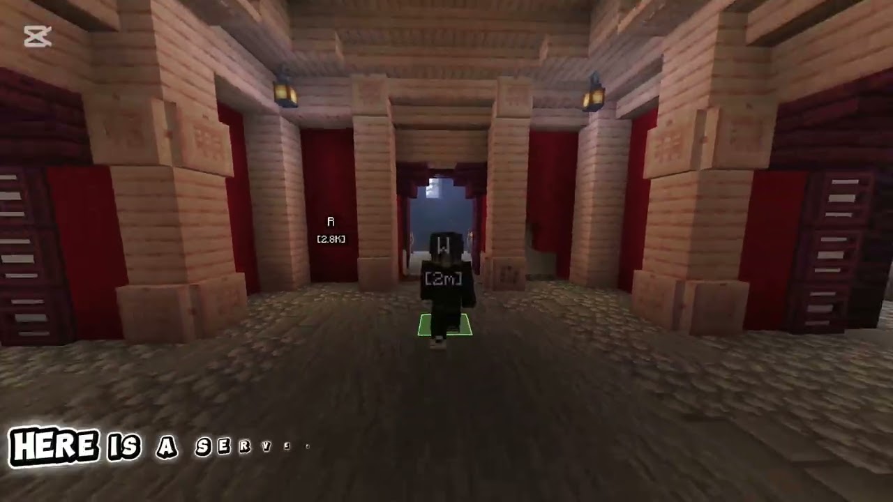 My application to the gambit smp
