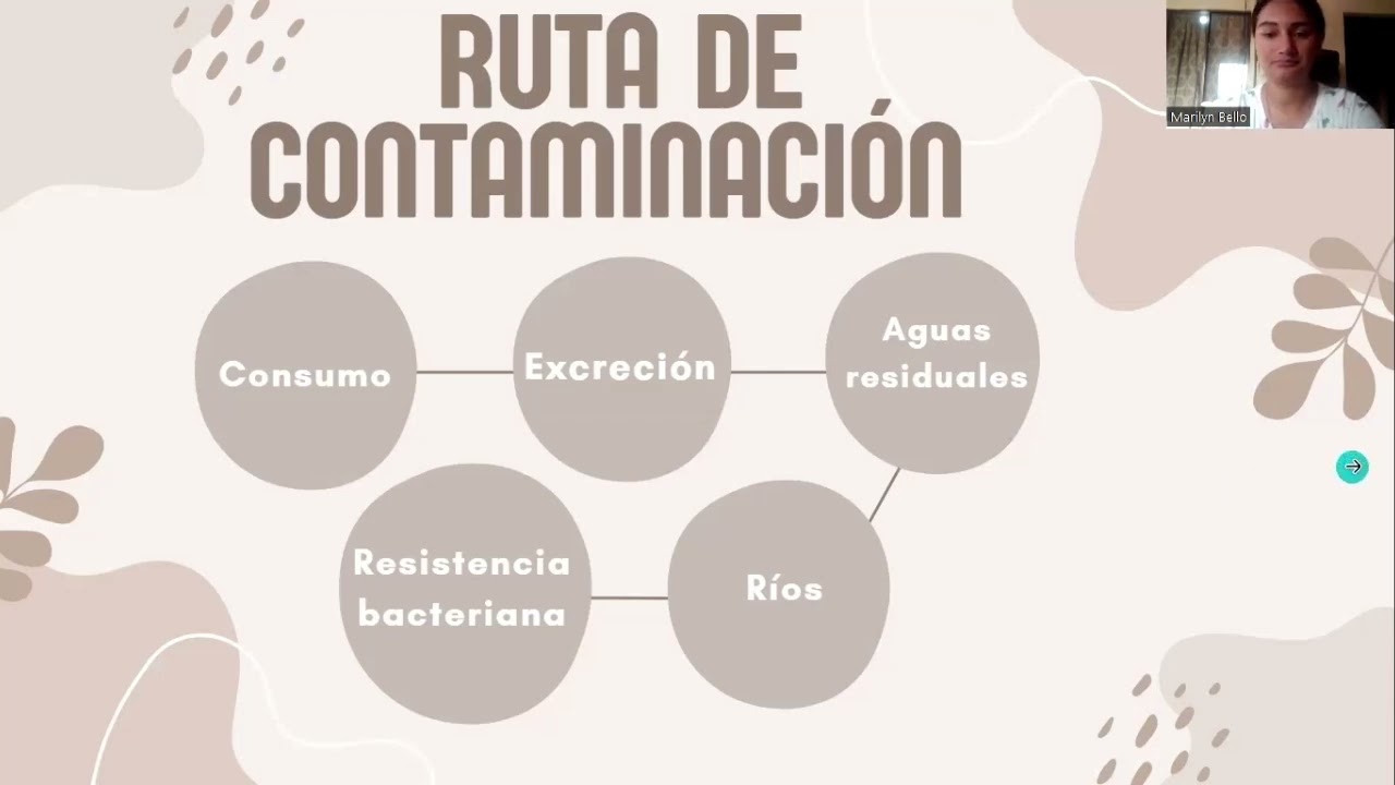 Presentación sobre antibióticos como contaminantes emergentes